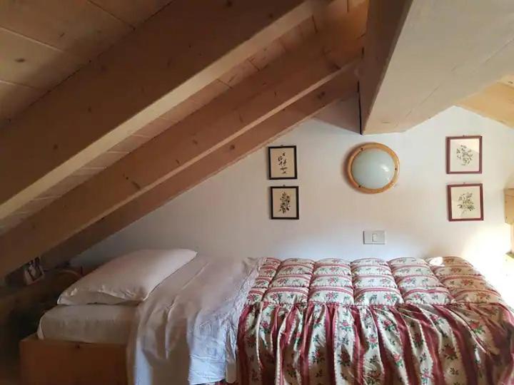 דירות ספיאצו "Fresia" Chalet Turistico A Fisto מראה חיצוני תמונה